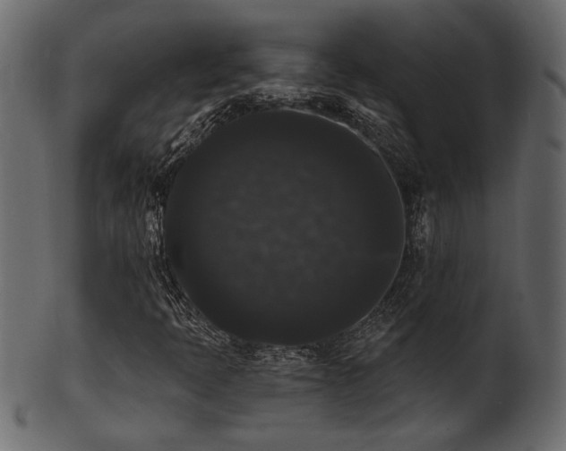 X0000101981397200807181114