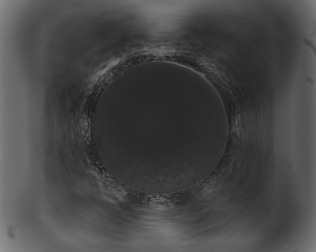 X0000101981398200807181114