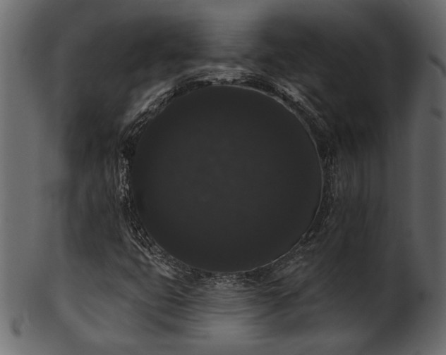 X0000101981399200807181114