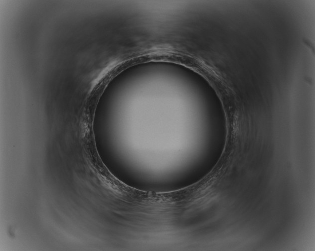 X0000101981400200807181114