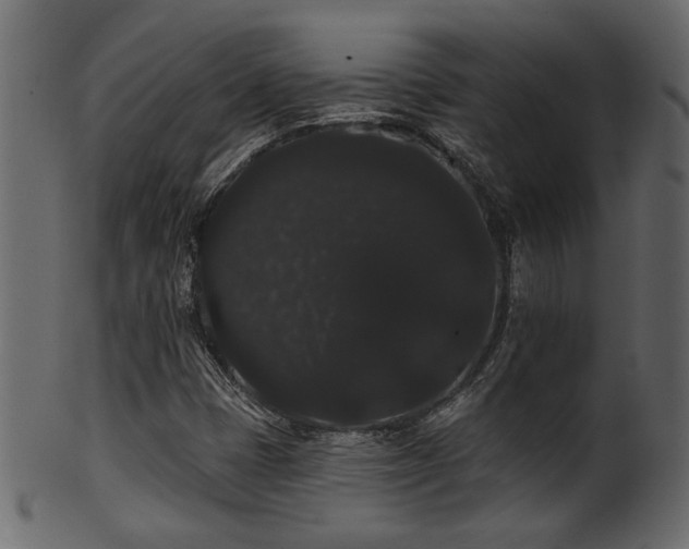 X0000101981401200807181114