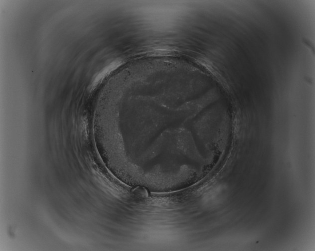 X0000101981402200807181114