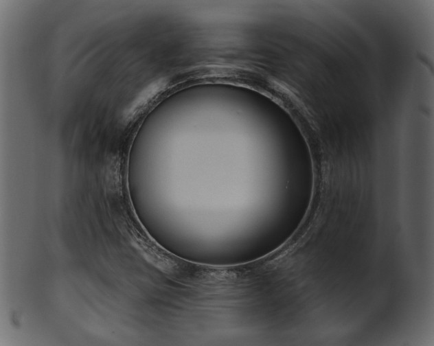 X0000101981403200807181114