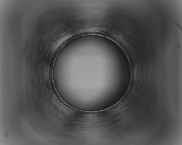 X0000101981404200807181114