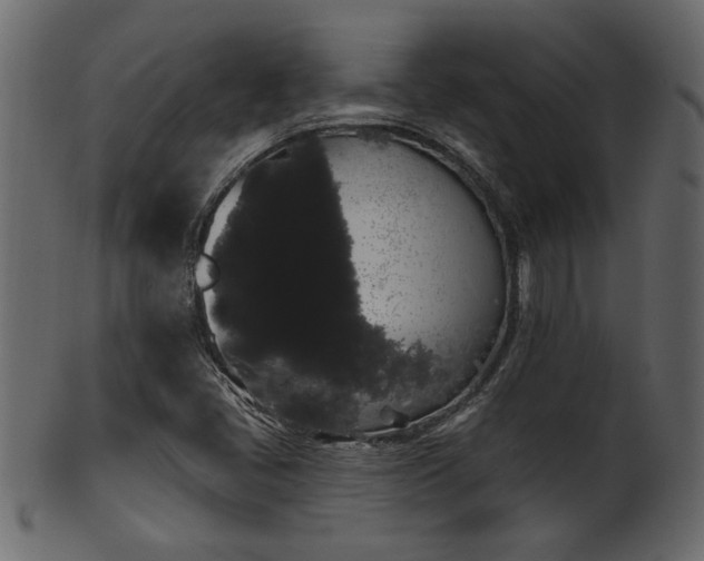 X0000101981405200807181114