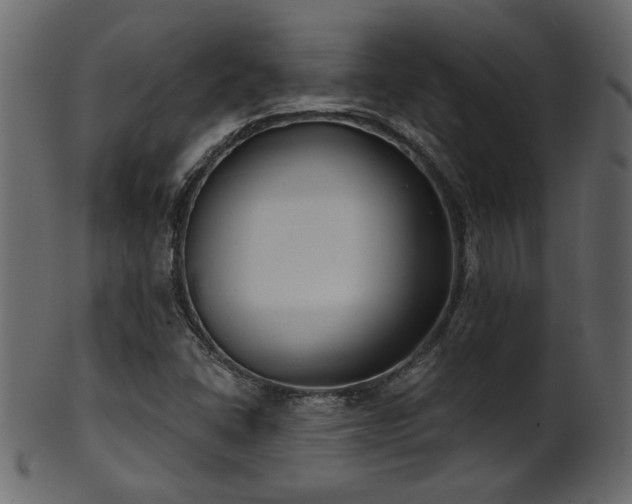 X0000101981406200807181114