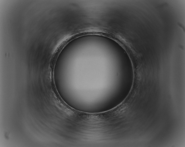 X0000101981408200807181114