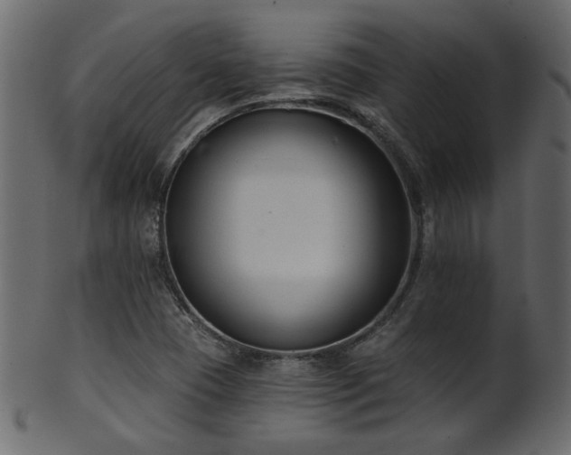 X0000101981409200807181114