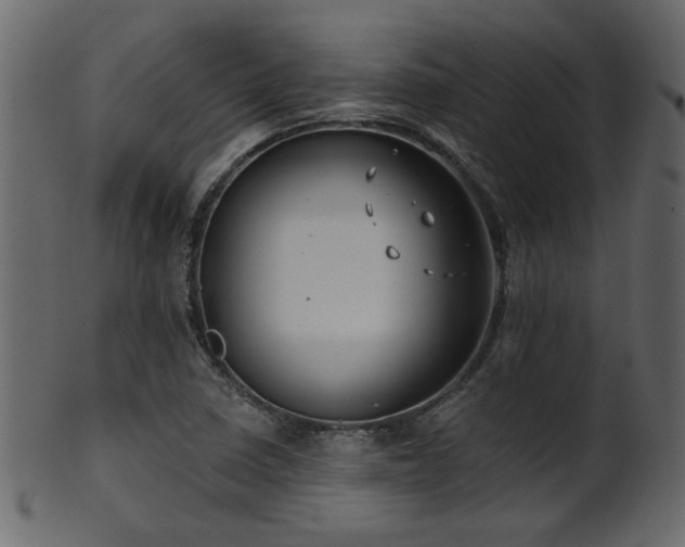 X0000101981410200807181114