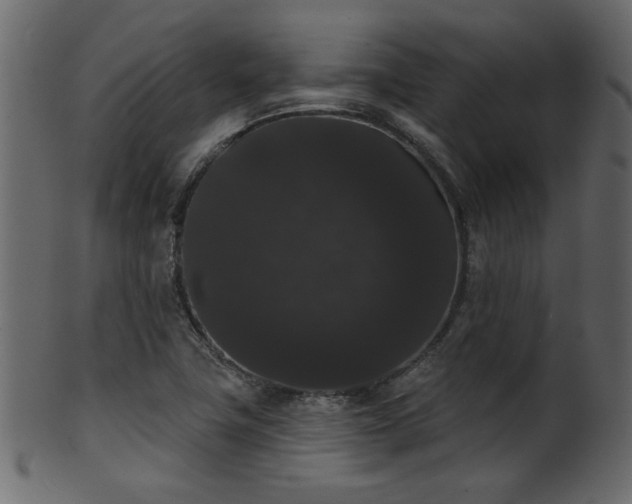 X0000101981411200807181114