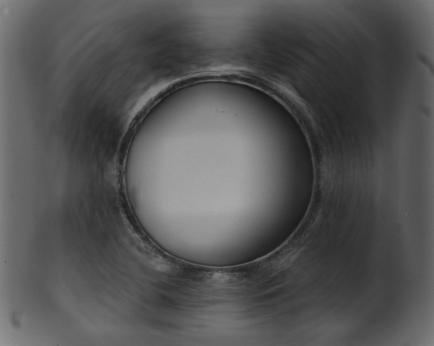 X0000101981412200807181114