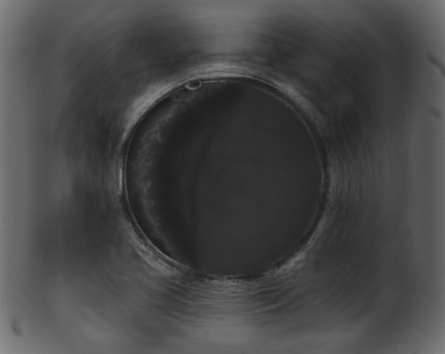 X0000101981413200807181114