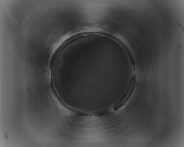 X0000101981414200807181114