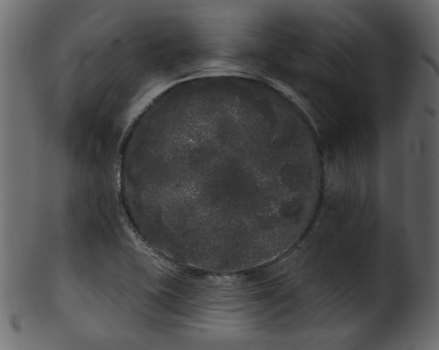 X0000101981415200807181114