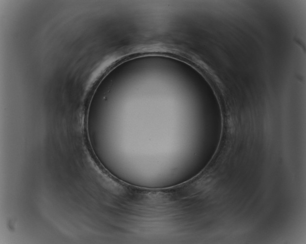 X0000101981416200807181114