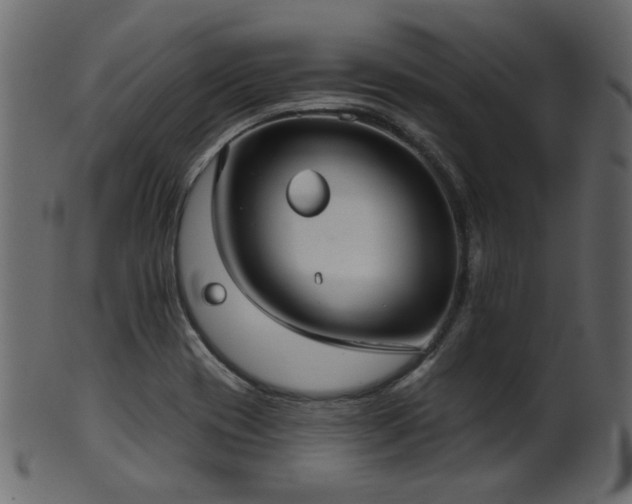 X0000101981417200807181114