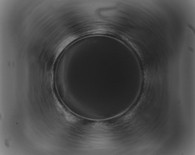 X0000101981418200807181114