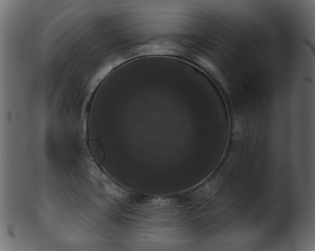 X0000101981419200807181114