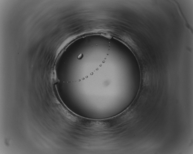 X0000101981420200807181114