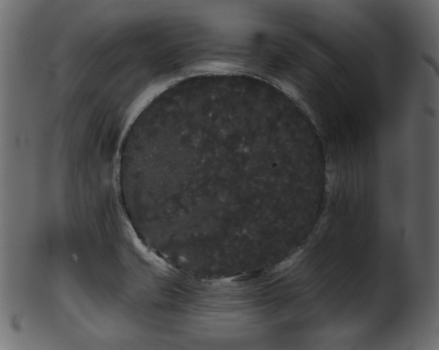 X0000101981421200807181114