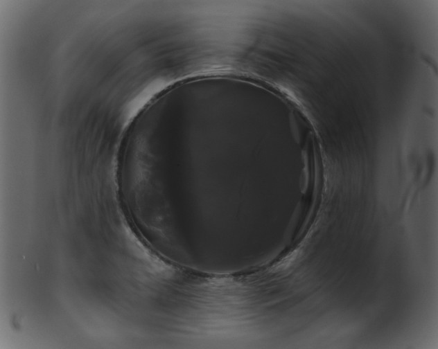 X0000101981422200807181114