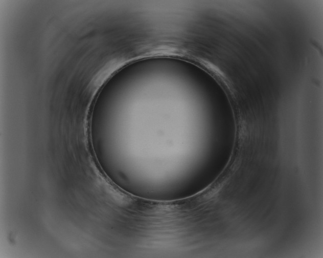 X0000101981423200807181114