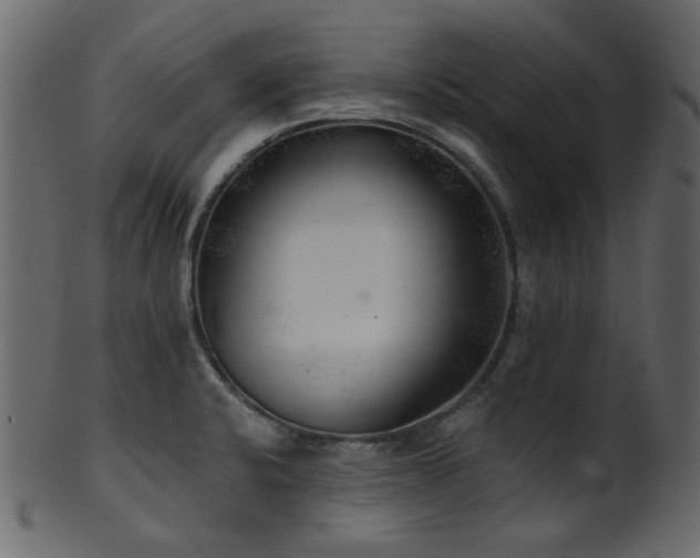 X0000101981424200807181114