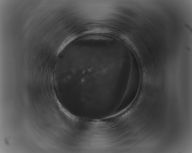 X0000101981425200807181114