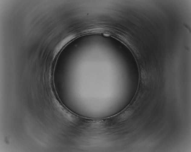 X0000101981426200807181114