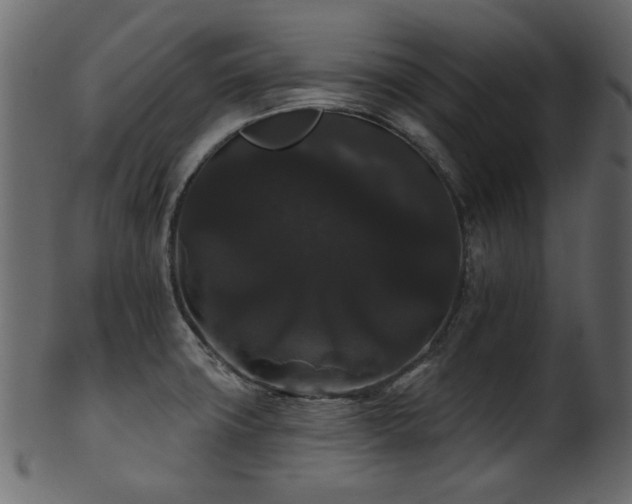 X0000101981427200807181114