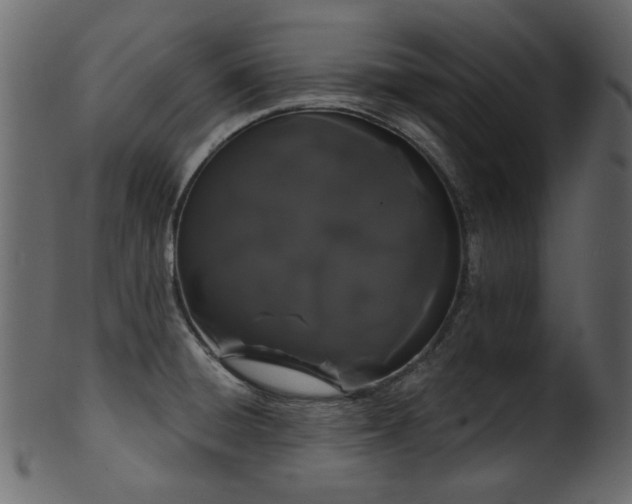 X0000101981428200807181114