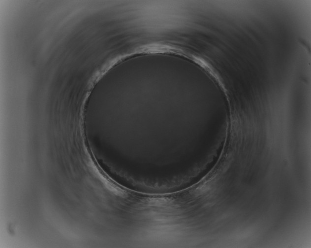 X0000101981429200807181114