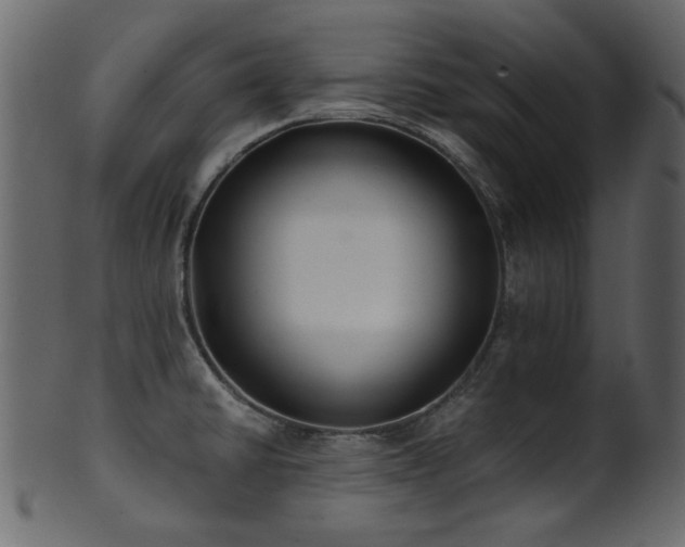 X0000101981430200807181114