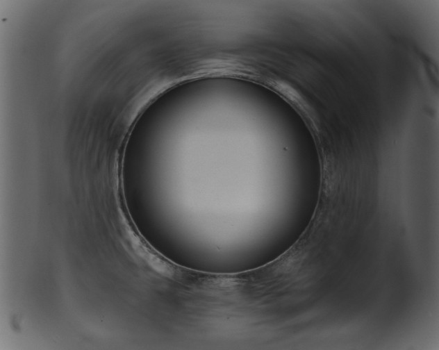 X0000101981431200807181114