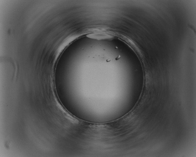 X0000101981432200807181114