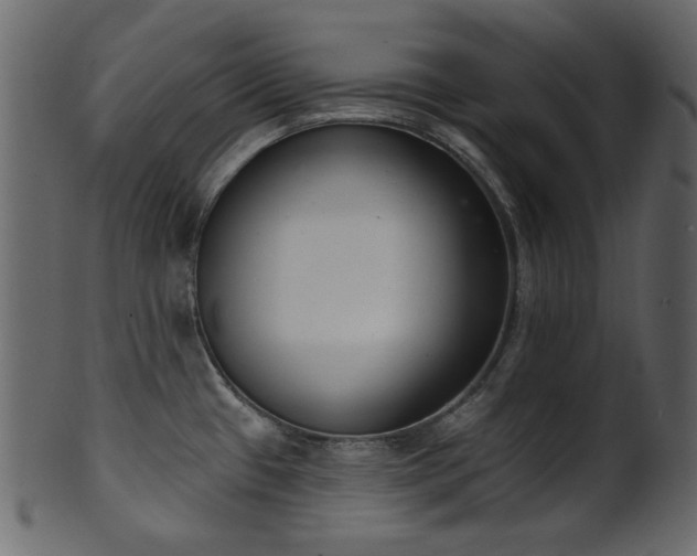 X0000101981433200807181114