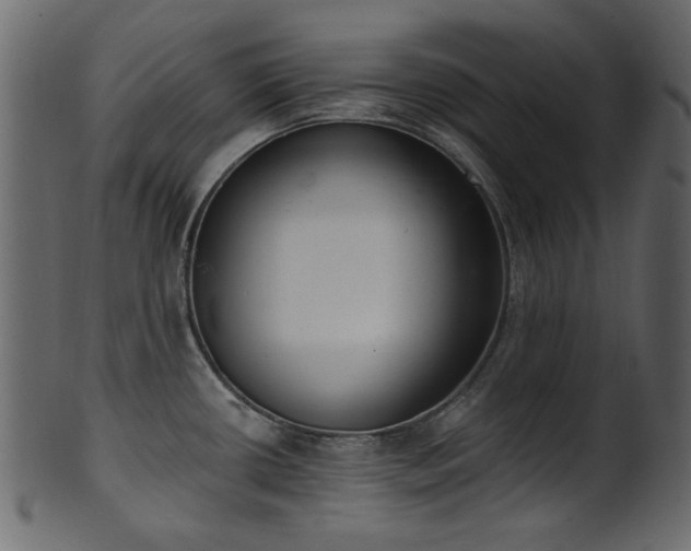 X0000101981434200807181114