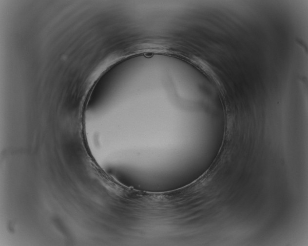 X0000101981435200807181114