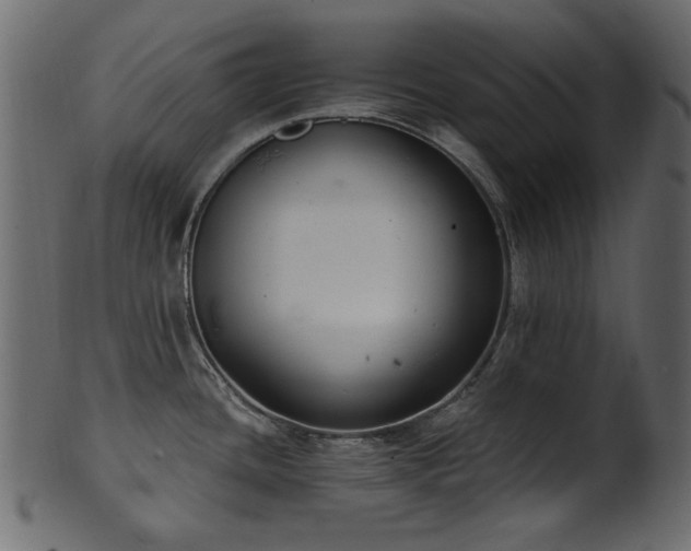 X0000101981436200807181114