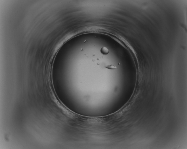 X0000101981437200807181114