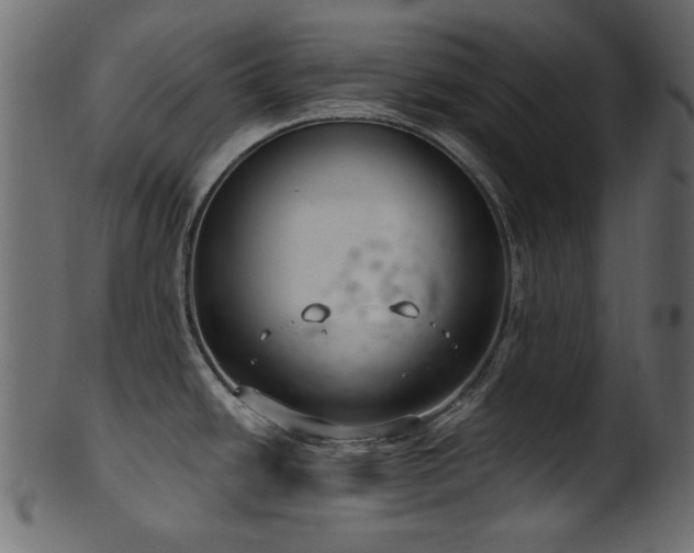 X0000101981438200807181114