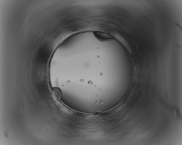 X0000101981439200807181115