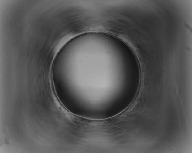 X0000101981440200807181115