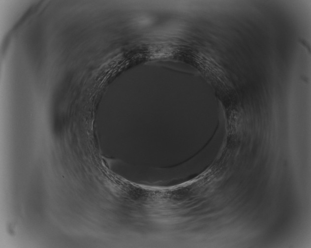 X0000101981441200807181114