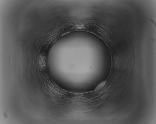 X0000101981442200807181114