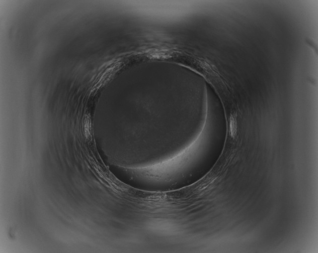 X0000101981444200807181114