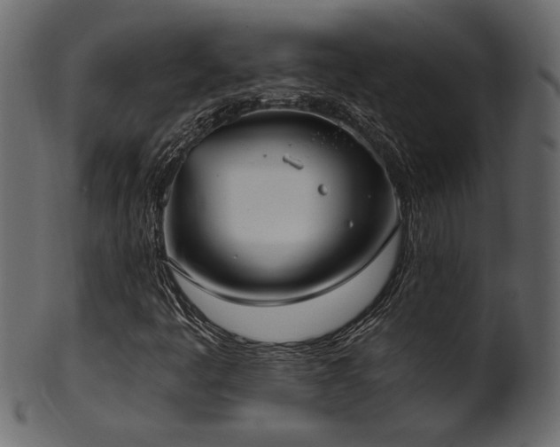 X0000101981445200807181114