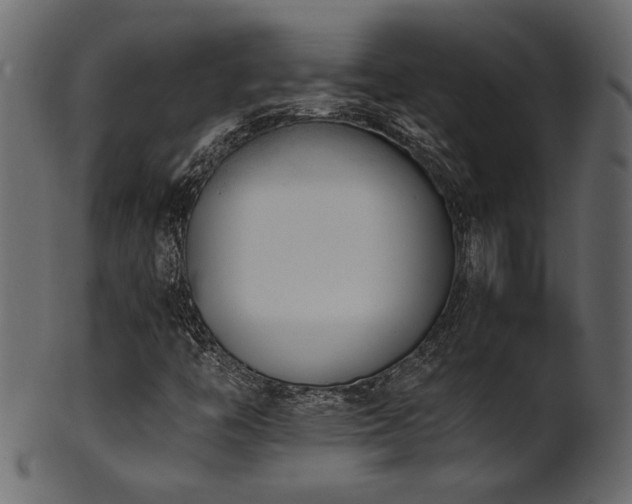 X0000101981446200807181114