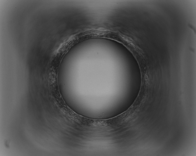 X0000101981447200807181114