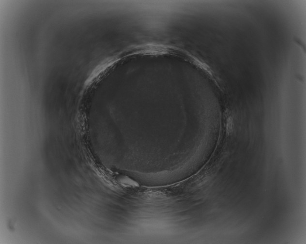 X0000101981448200807181114